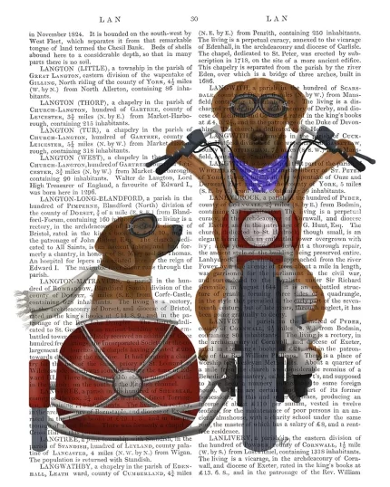 Rhodesian Ridgeback Chopper and Sidecar, Book Print, Dog Art Print, Wall Art