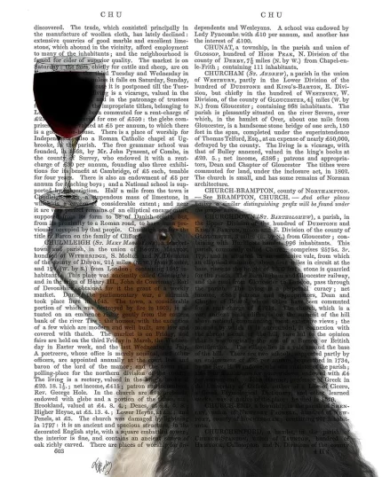 Bernese, Dog Au Vin, Book Print, Dog Art Print, Wall Art