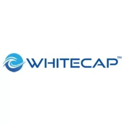 Butt Hinge - 304 Stainless Steel - 2" x 2"