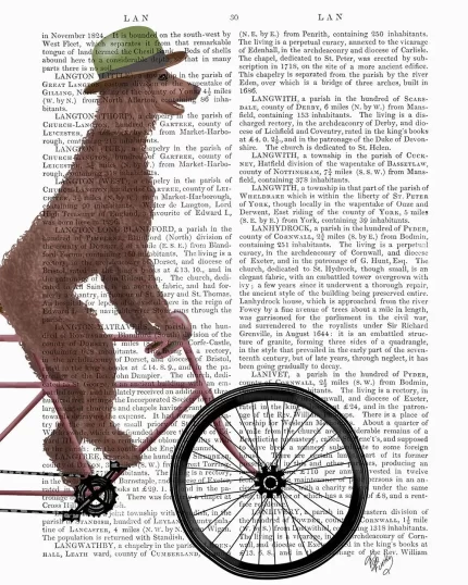 Poodle on Bicycle, Brown, Book Print, Dog Art Print, Wall Art