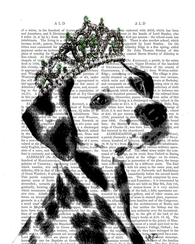 3tDalmatian-in-Tiara-Dog-Book-Print-Art-Print-Wall-Art