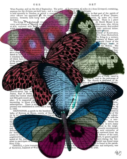Big Bold Butterflies 1, Book Print, Art Print, Wall Art