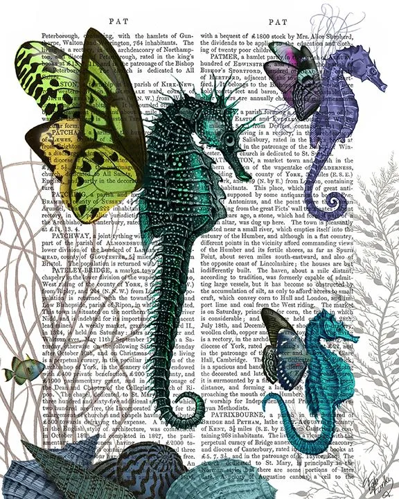 4aSeahorse-Trio-With-Wings-Book-Print-Art-Print-Wall-Art