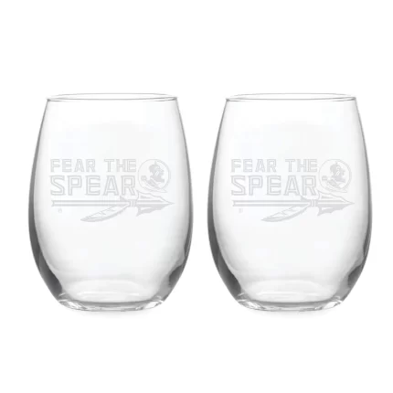 21oz Florida State Seminoles Etched Slogan Stemless 2 Pack