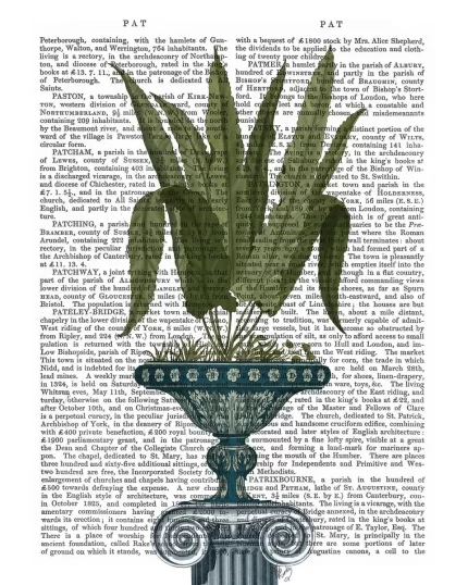 Classsical Botanicals 1,Book Print, Art Print, Wall Art