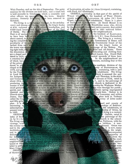 Husky in Hat and Scarf, Book Print, Dog Art Print, Wall Art