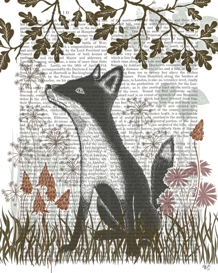 Country Lane Fox 1, Earth, Book Print, Art Print, Wall Art