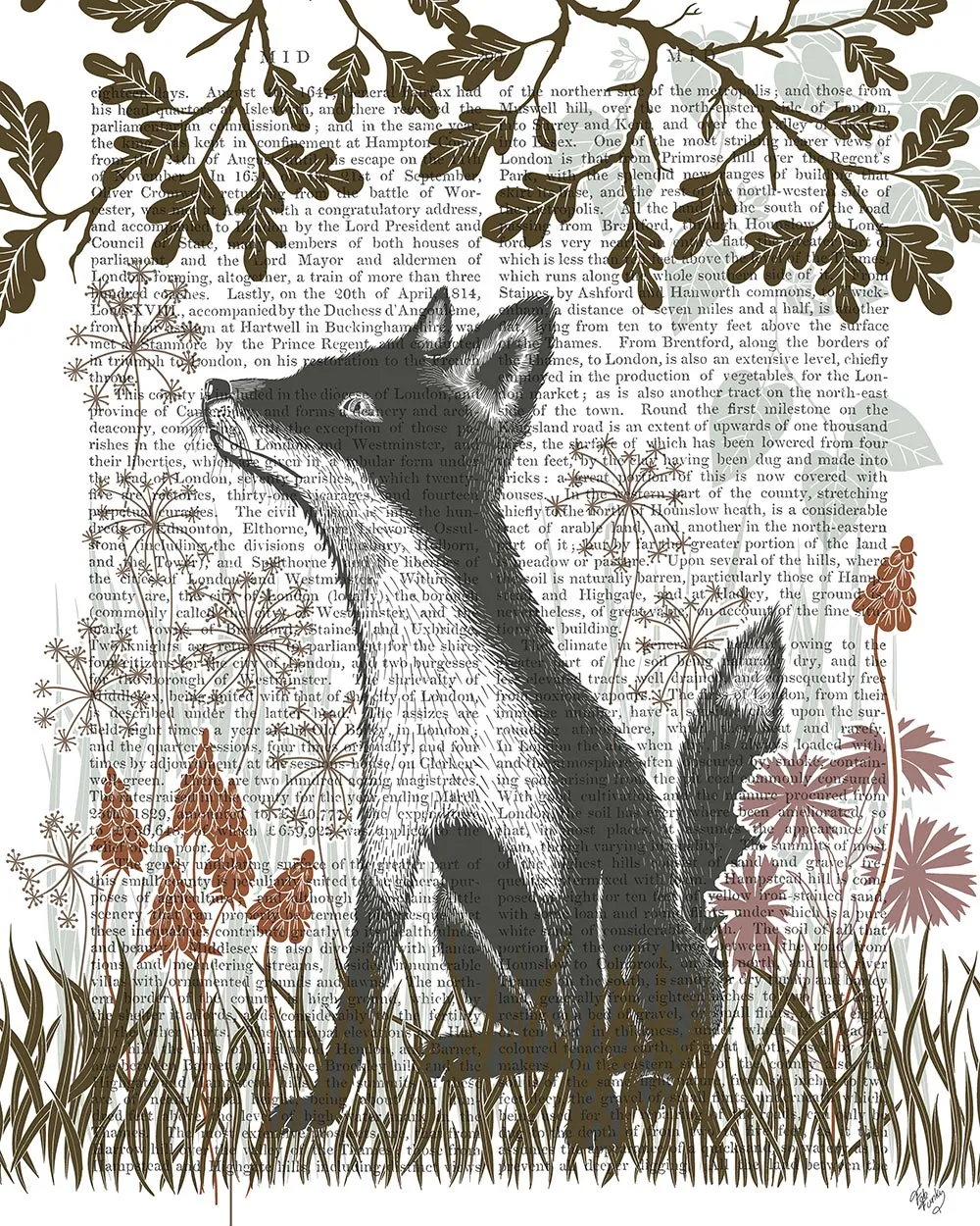 4eCountry-Lane-Fox-1-Earth-Book-Print-Art-Print-Wall-Art