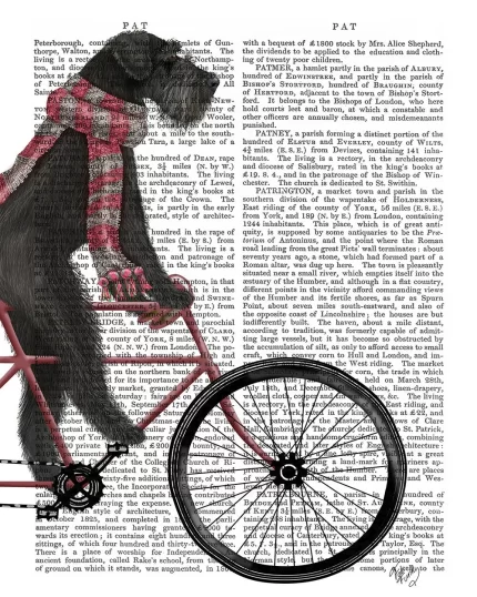 Schnauzer on Bicycle, Black, Book Print, Dog Art Print, Wall Art