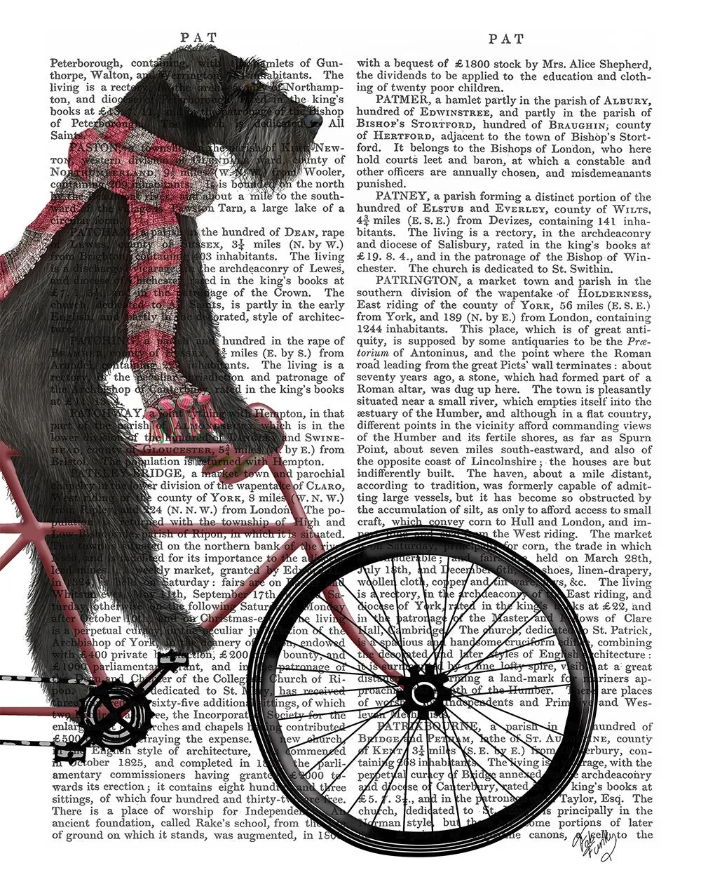4eSchnauzer-on-Bicycle-Black-Book-Print-Dog-Art-Print-Wall-Art