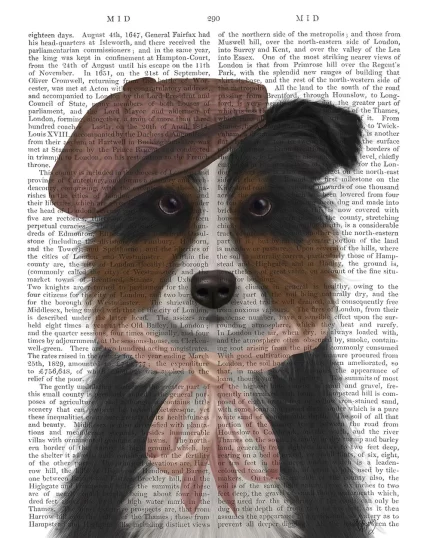 Border Collie Hat and Pink Scarf, Book Print, Dog Art Print, Wall Art