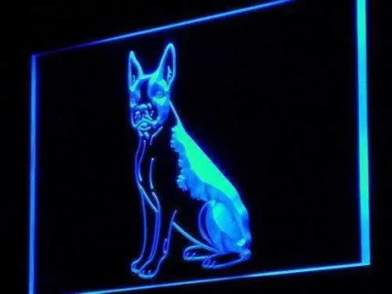 Boston Terrier Dog LED Light Sign