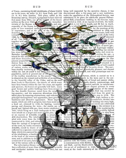 Bird Vintage Boat, Book Print, Art Print, Wall Art