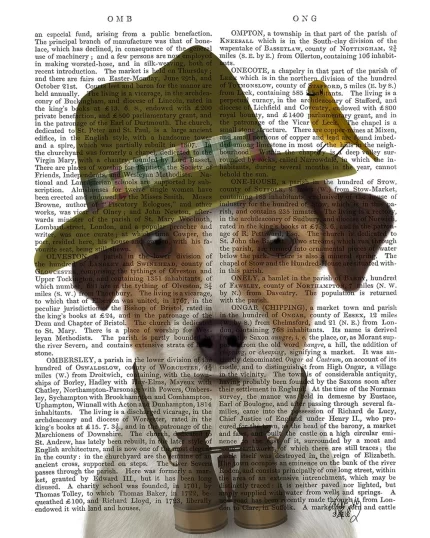 Jack Russell Bird Watcher, Book Print, Dog Art Print, Wall Art