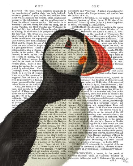 Puffin Portrait 2, Book Print, Art Print, Wall Art