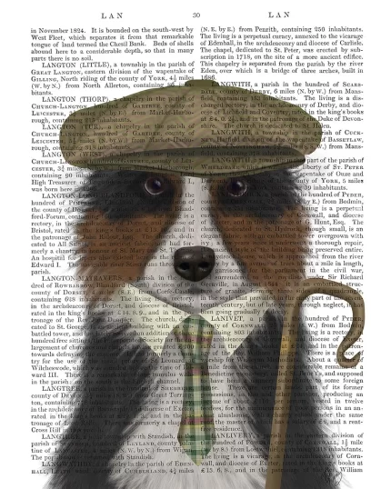 Border Collie Shepherd, Book Print, Dog Art Print, Wall Art