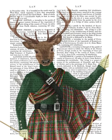 Scottish Deer Major Malcolm, Portrait, Book Print, Art Print, Wall Art