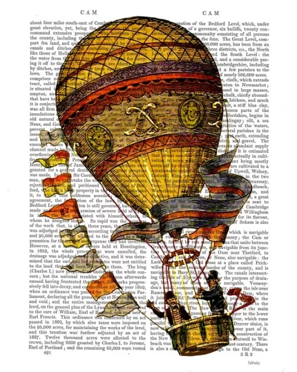 Hot Air Balloon Gold with Flags, Book Print, Art Print, Wall Art