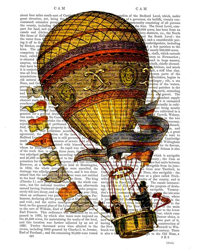 4wHot-Air-Balloon-Gold-with-Flags-Book-Print-Art-Print-Wall-Art