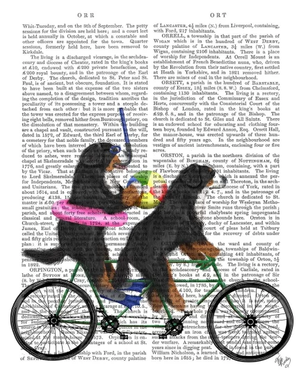 Bernese Mountain Dog Tandem, Book Print, Dog Art Print, Wall Art