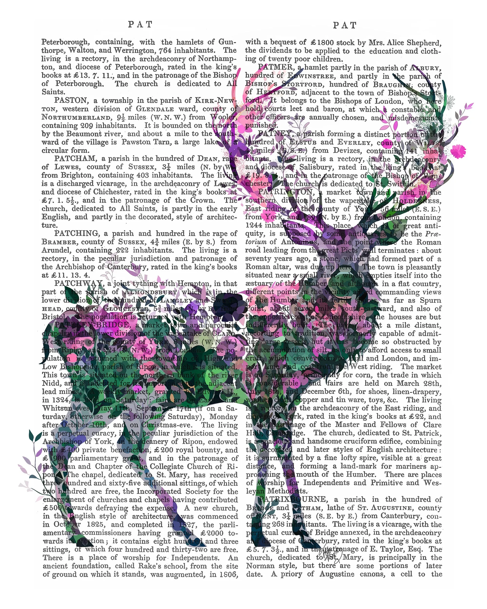 5hFloralessence-Deer-1-Book-Print-Art-Print-Wall-Art
