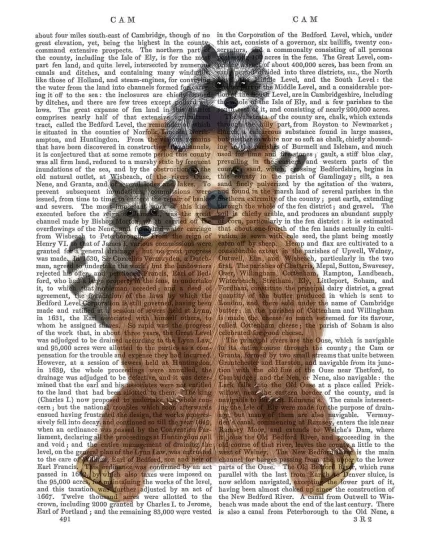 Bear and Raccoon Friends, Book Print, Art Print, Wall Art