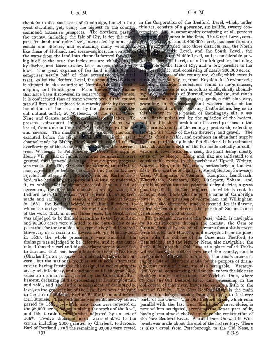 5jBear-and-Raccoon-Friends-Book-Print-Art-Print-Wall-Art