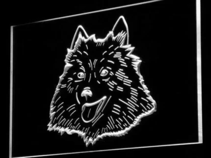 American Eskimo Dog LED Light Sign