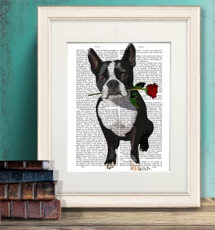 Boston Terrier Rose in Mouth Dog  Book Print, Art Print, Wall Art
