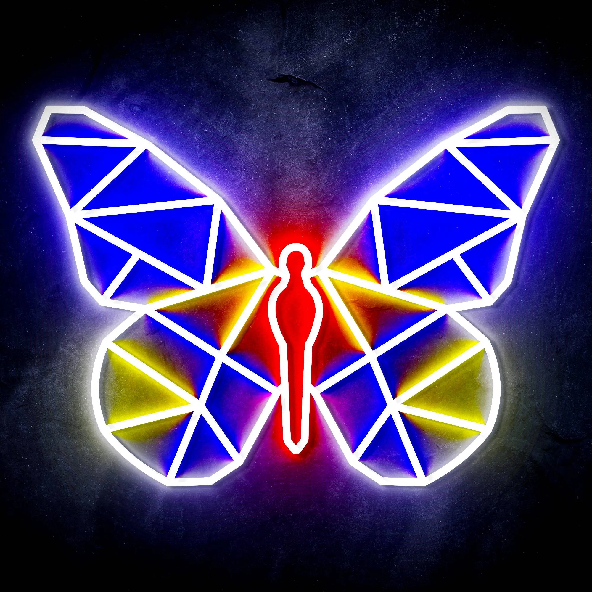 5qOrigami-Butterfly-Ultra-Bright-LED-Sign-with-Remote-Neon-Style-LED-Technology-