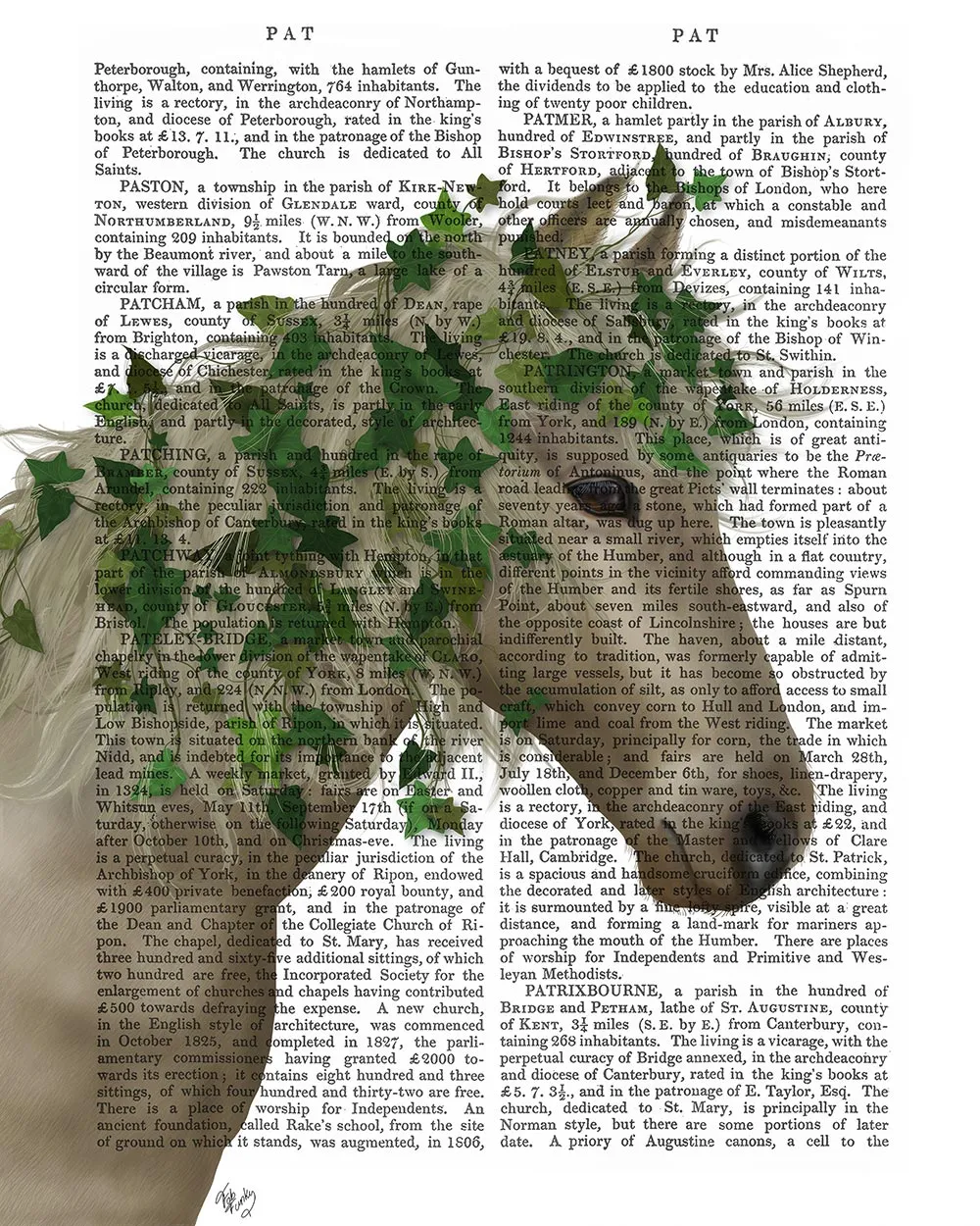5rHorse-Porcelain-with-Ivy-Book-Print-Art-Print-Wall-Art