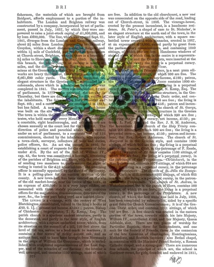 Rabbit Bohemian, Book Print, Art Print, Wall Art