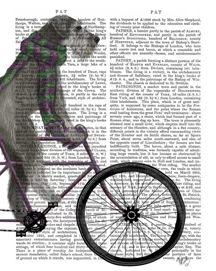 Schnauzer on Bicycle, Grey, Book Print, Dog Art Print, Wall Art