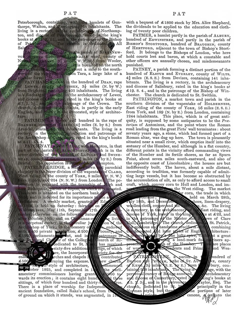 5xSchnauzer-on-Bicycle-Grey-Book-Print-Dog-Art-Print-Wall-Art