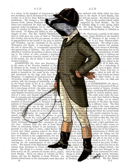 Badger The Rider Full Book Print, Art Print, Wall Art