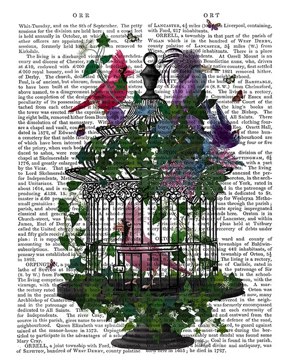 6dFlower-Tropical-Birdcage-1-Book-Print-Art-Print-Wall-Art