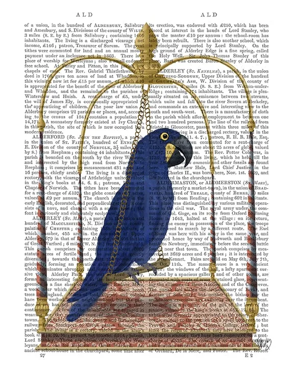 6iBlue-Parrot-on-Swing-Book-Print-Art-Print-Wall-Art