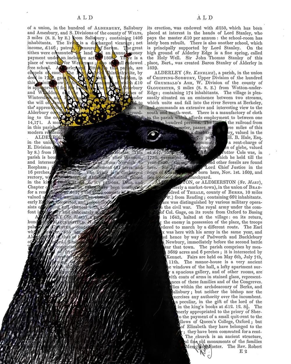 6lBadger-King-Book-Print-Art-Print-Wall-Art
