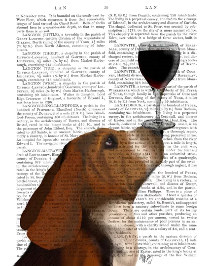 Basset Hound, Dog Au Vin, Book Print, Dog Art Print, Wall Art