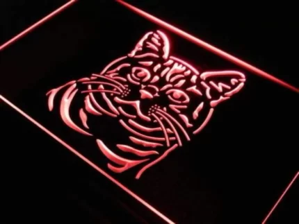 American Shorthair Cat LED Light Sign
