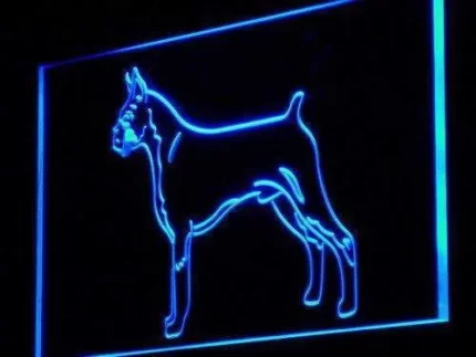 Boxer Dog Standing LED Light Sign