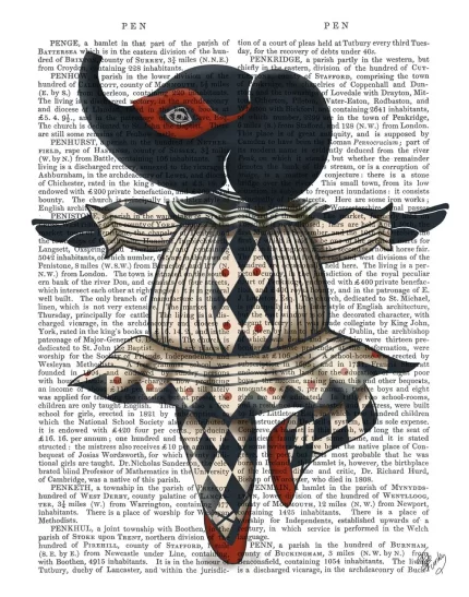 Elephant Ballet, Sideshow Book Print, Art Print, Wall Art