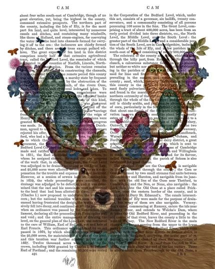 Deer Birdkeeper, Owls, Book Print, Art Print, Wall Art