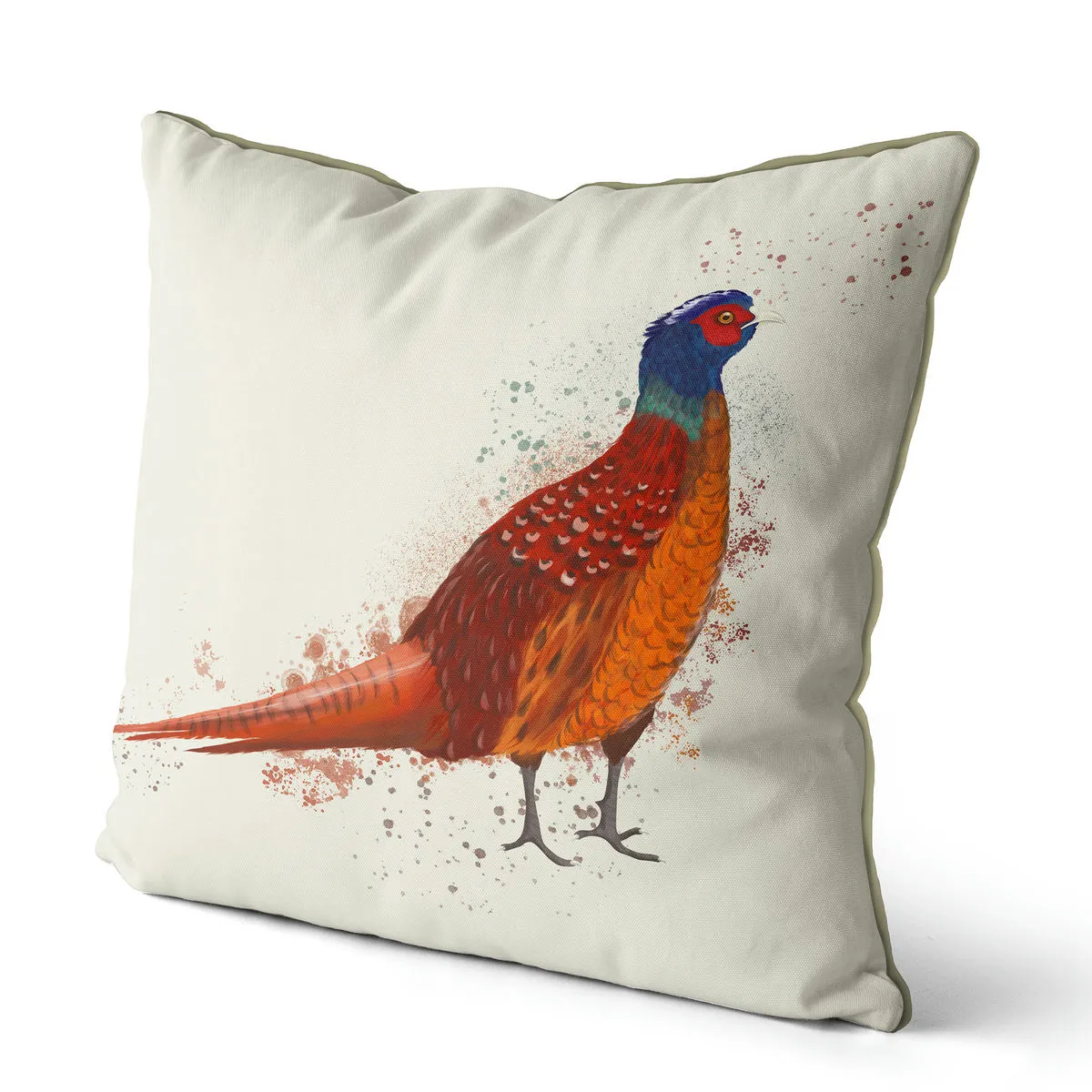 6sPheasant-splash-4-Cushion-Throw-Pillow_1
