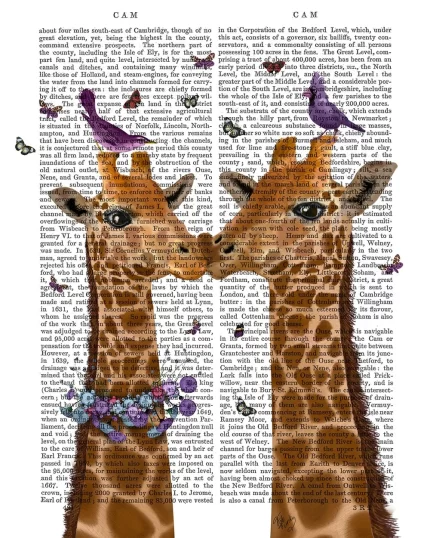 Kissing Giraffes with Birds, Book Print, Art Print, Wall Art