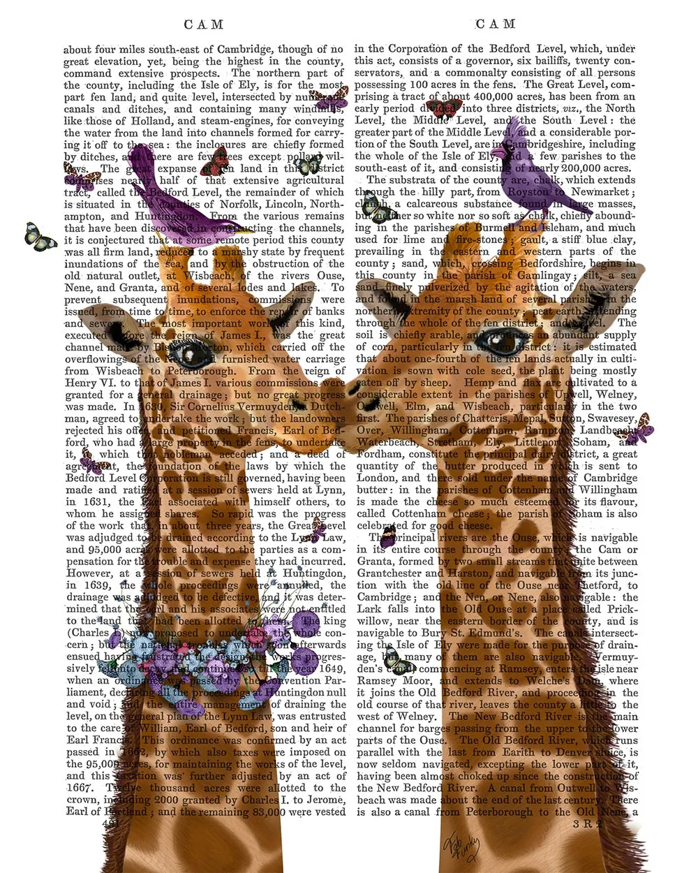 6yKissing-Giraffes-with-Birds-Book-Print-Art-Print-Wall-Art
