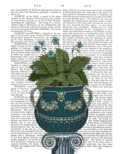 Classsical Botanicals 4 ,Book Print, Art Print, Wall Art