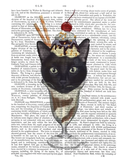 Black Cat Ice Cream Sundae, Book Print, Art Print, Wall Art