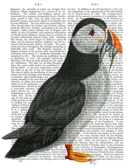 Puffin Lunch, Book Print, Art Print, Wall Art