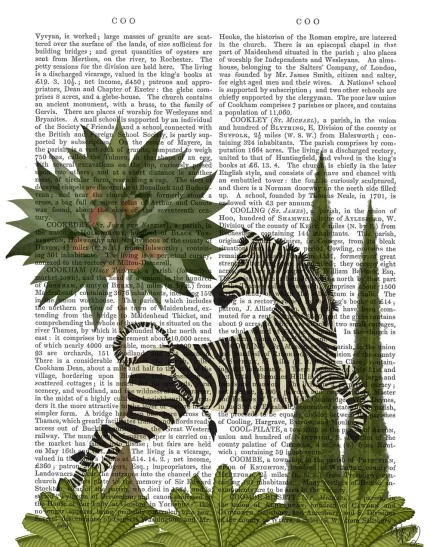 Dancing Zebra, Animalia Book Print, Art Print, Wall Art